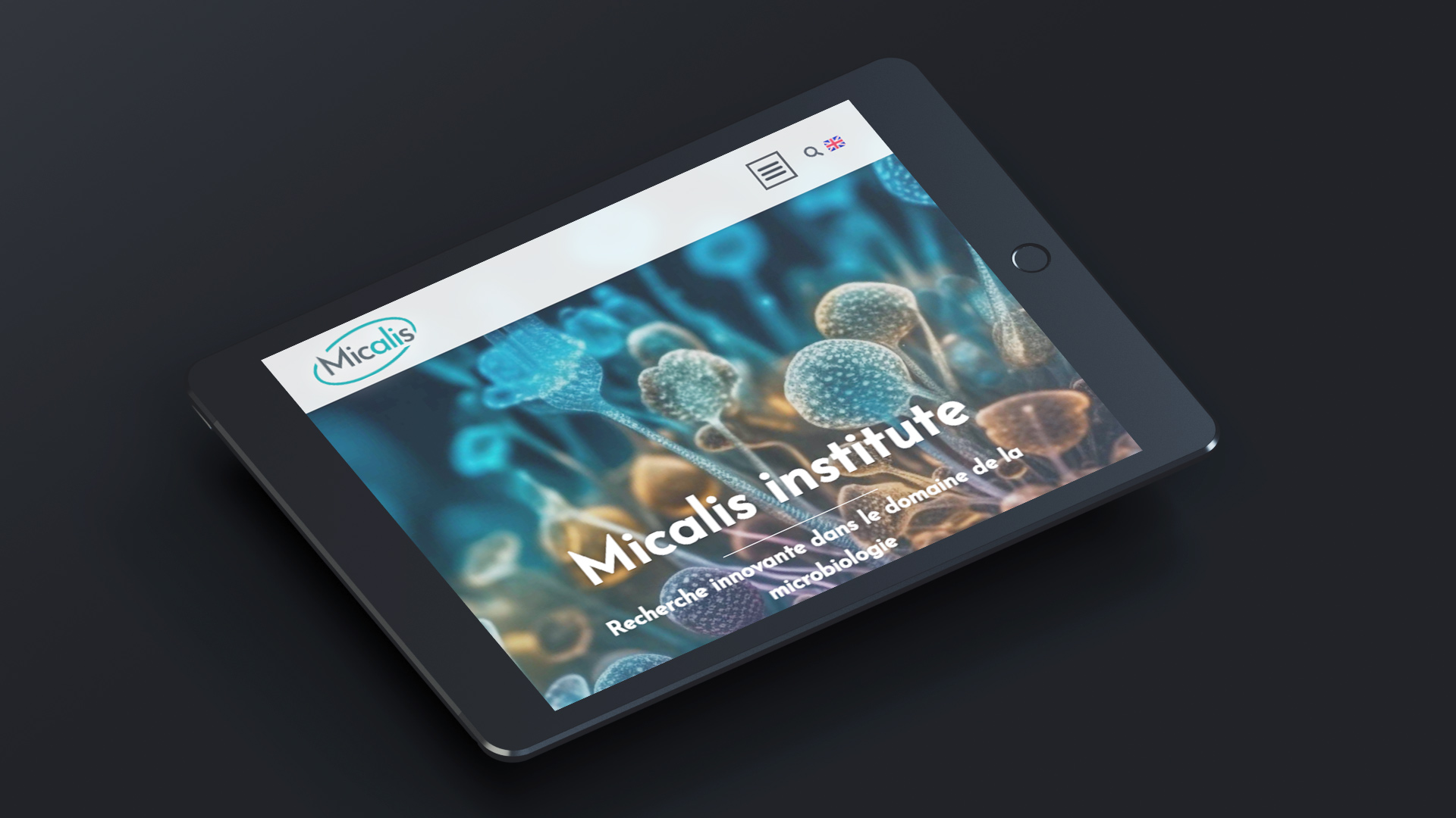 Mockup montrant le site internet micalis.fr